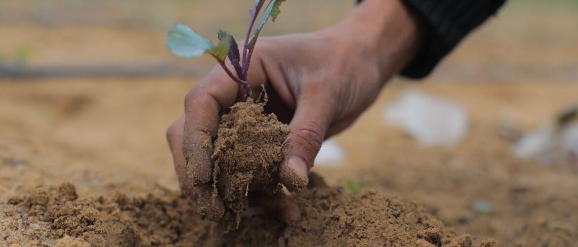 Gaza, Palestinian Occupied Territory: Once a proud poultry farmer in Gaza, Rami faced the devastating impact of Israel’s war on Gaza. Photo: Alef Multimedia/Oxfam